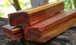 Loại gỗ ở Việt Nam được mệnh danh là 'báu vật rừng xanh', có thời điểm giá lên tới nửa tỷ/m³