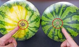 Khi mua dưa hấu, bạn nên chọn rốn to hay rốn nhỏ? Ông lão trồng cây ăn quả 30 năm kinh nghiệm: Có sự khác biệt lớn, đừng mua nhầm