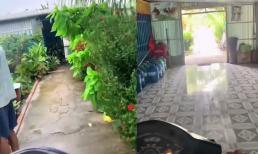 Căn nhà độc lạ khiến MXH 'dậy sóng': Đường đâm xuyên qua, mở cửa cho xe chạy ngày đêm