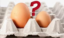 Trứng gà nên chọn quả to hay nhỏ? Người chăn nuôi tiết lộ điều bí mật không phải ai cũng biết