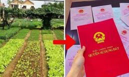 Hướng dẫn chi tiết cách để chuyển đất nông nghiệp sang đất thổ cư năm 2025?