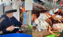 Phát hiện người phụ nữ bơm tạp chất thạch rau câu vào 45kg tôm hùm đã chết để bán ra thị trường