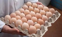 5 loại trứng tốt nhất không nên ăn, hại gan lại hỏng thận, tiếc là nhiều người không biết vẫn ăn hàng ngày
