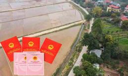 Trường hợp xây nhà ở trên đất khai hoang có được cấp sổ đỏ không?