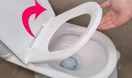 Sau khi sử dụng bồn cầu, nên đóng hay mở nắp bồn cầu? Nhiều người làm sai, chẳng trách nhà có mùi hôi 
