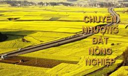 Điều kiện chuyển nhượng đất nông nghiệp có sự thay đổi lớn theo Luật mới nhất