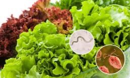 12 loại rau mùa hè dễ nhiễm ký sinh trùng được bán đầy chợ Việt, 5.000 đồng là mua được, khi ăn cần chú ý một điều