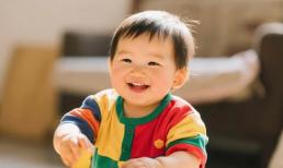 Nếu bỏ lỡ 7 giai đoạn này trước khi con được một tuổi rưỡi, bạn có thể 'hủy hoại' thiên phú học tập của con mình! Tôi hối hận vì không biết sớm hơn