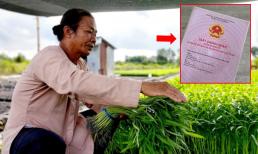 Kể từ bây giờ, chuyển đất vườn lên đất thổ cư người dân bắt buộc phải đóng 4 khoản tiền này