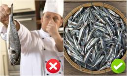 Khi đi chợ, người thông minh thường tránh 3 loại cá dễ gây ngộ độc, ưu tiên mua 4 loại cá thơm ngon, cực kỳ bổ dưỡng này