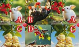 Trắc nghiệm tâm lý: Chọn một con vật yêu thích và xem bạn sẽ được hưởng phước lành của ai trong cuộc sống này?