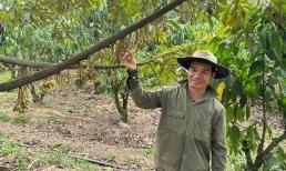 Anh nông dân trồng 'cây tỷ đô' theo kiểu ngược đời, giờ sống nhàn tênh thu nhập 4 tỷ/năm
