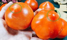 Khi mua cà chua, bạn nên chọn loại có đầu nhọn hay đầu tròn? Một người nông dân trồng rau tiết lộ sự thật: Có một sự khác biệt lớn, đừng mua nhầm nữa 
