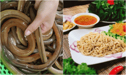 Loài cá lạ nhìn bề ngoài khiếp sợ lại là đặc sản Thanh Hóa, giá tiền triệu vẫn được nhiều người tìm mua