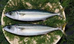 Cá hồi chỉ đứng thứ 7! Các chuyên gia dinh dưỡng đã công bố top 15 loại cá bổ dưỡng nhất và 4 loại cá tốt nhất là nên ăn ít đi