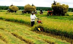 Quốc hội ‘chốt’ kéo dài thời hạn miễn thuế sử dụng đất nông nghiệp