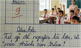 Thử tài với câu đố Tiếng Việt: Từ nào để nguyên là lợn, bỏ 'móc' thành con trâu?