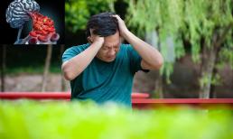 Nghiên cứu phát hiện ra rằng, hầu hết người cao tuổi ít có nguy cơ bị nhồi máu não đều có ba thói quen này