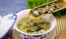 Uống nước lá sen có những lợi ích gì? Những điều kiêng kỵ khi uống nước lá sen