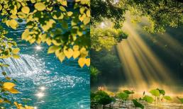 Trắc nghiệm tâm lý: Chọn một bức tranh để kiểm tra xem bạn có thể phản công thành công trong năm nay không