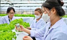 Ngành học không lo thất nghiệp, điểm chuẩn chỉ từ 16 điểm, ra trường lương 25 triệu/tháng, doanh nghiệp thi nhau săn đón