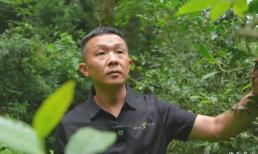 Bỏ phố về quê, chàng trai đổi đời nhờ biến lá cây dại thành 'vàng' bán giá tới 27 triệu/kg