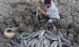 Loài cá duy nhất trên thế giới có thể sống 5 năm không cần nước, xuất hiện từ cách đây 390 triệu năm