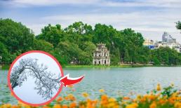 Hà Nội từng có 2 lần tuyết rơi khiến nước Hồ Gươm đóng băng, rất ít người biết