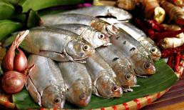 Ở Việt Nam có loại cá tốt nhất thế giới, nhiều người hay cho mèo ăn, vừa rẻ vừa giàu DHA,  là 'cá hồi cho nhà bình dân'