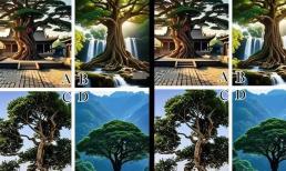 Trắc nghiệm tâm lý: Bạn thích cảnh cây cổ thụ nào? Hãy thử xem con bạn có thể vào làm việc trong chính phủ trong tương lai không? 