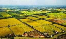 Từ nay, một loại đất bị biến thành đất ở sẽ bị phạt tới 400.000.000 đồng