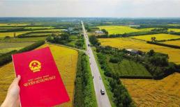 Kể từ bây giờ, tự ý chuyển đất trồng lúa sang đất ở tại Hà Nội sẽ bị phạt nặng gấp đôi