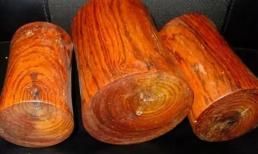 Loại gỗ quý 50 tỷ đồng bị đem làm 'chuồng lợn', nhóm lửa, nhiều người 'đốt' đi cơ hội làm giàu mà không biết