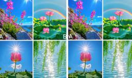 Trắc nghiệm tâm lý: Chọn một bức tranh bạn thích dựa trên cảm xúc của bạn. Hãy thử xem số phận của bạn cay đắng hay ngọt ngào 