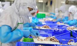 'Kho báu ngầm' giúp Việt Nam thu hơn 300 triệu USD trong nửa đầu năm, được Hàn, Trung đua nhau chốt đơn
