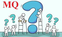 Chỉ số MQ là gì? Tại sao một số người cho là MQ quan trọng hơn IQ, EQ?