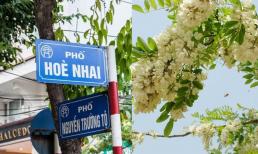 Tên phố Hòe Nhai và Liễu Giai có ý nghĩa là gì?