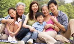 Nuôi cháu từ nhỏ, ông bà ngoại có được hưởng thừa kế từ cháu không?