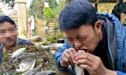 Đặc sản chỉ có ở Sơn La dùng để đãi khách quý, 'nhảy tanh tách' trong cổ họng, nhiều người sợ khiếp vía