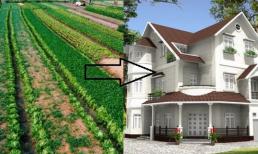 Cập nhật mới nhất: Đây là chi phí xin chuyển đổi đất nông nghiệp lên đất thổ cư