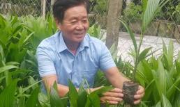 Nông dân Thanh Hóa thu 700 triệu đồng/năm nhờ trồng loại cây này trên đất bạc màu, giá giống rẻ, ít sâu bệnh