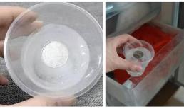 Tại sao lại nên bỏ tiền xu vào tủ lạnh khi ra ngoài? 