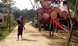 Loại gỗ quý bị gãy đổ bật gốc được trả 50 triệu/cây dân làng nhất quyết không bán, giữ gìn 'kho báu' cho con cháu