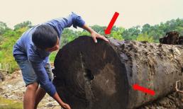 Vừa bán khúc gỗ quý giá 600 triệu đồng đào được, người đàn ông Việt tiếc 'đứt ruột' vì giá trị thực của 'báu vật' lên tới gần 6 tỷ đồng