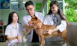 1 ngành học tại Học viện Nông nghiệp Việt Nam đang âm thầm lên ngôi, được doanh nghiệp săn đón tận trường, lương 30 triệu/tháng