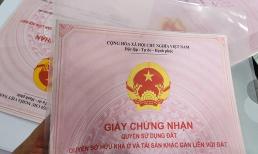 Hàng triệu người đón tin vui: Thêm một quyền lợi đặc biệt theo quy định mới nhất của Luật Đất đai