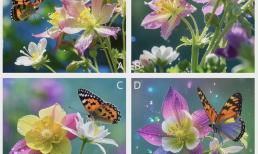 Quiz: Bạn thích bức tranh nào về loài bướm đang đùa giỡn với hoa? Trắc nghiệm xem bạn giỏi lĩnh vực nào?