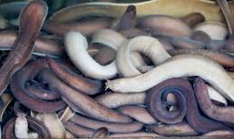 Loài cá 'xấu hết phần thiên hạ' xưa không ai ăn, nay thành đặc sản nổi tiếng, giá vài trăm nghìn đồng/kg vẫn cháy hàng