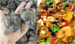 Loài vật tròn ủm trơn nhớt nhìn 'rợn người' lại là đặc sản Bình Thuận, giá cao ngất vẫn có rất nhiều người chen nhau mua 