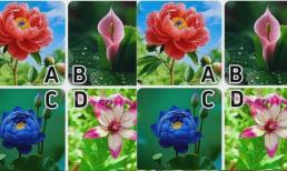 Trắc nghiệm tâm lý: Bạn thích bức ảnh nào nhất? Hãy thử xem giác quan thứ sáu của bạn chính xác đến mức nào?